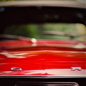 Meet your Posher, Alan